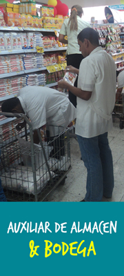 programas de formacion para el trabajo auxiliar de bodega th