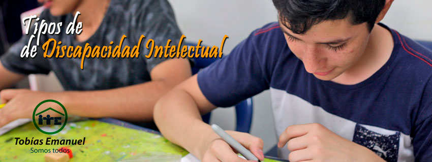 tipos de discapacidad intelectual cognitiva